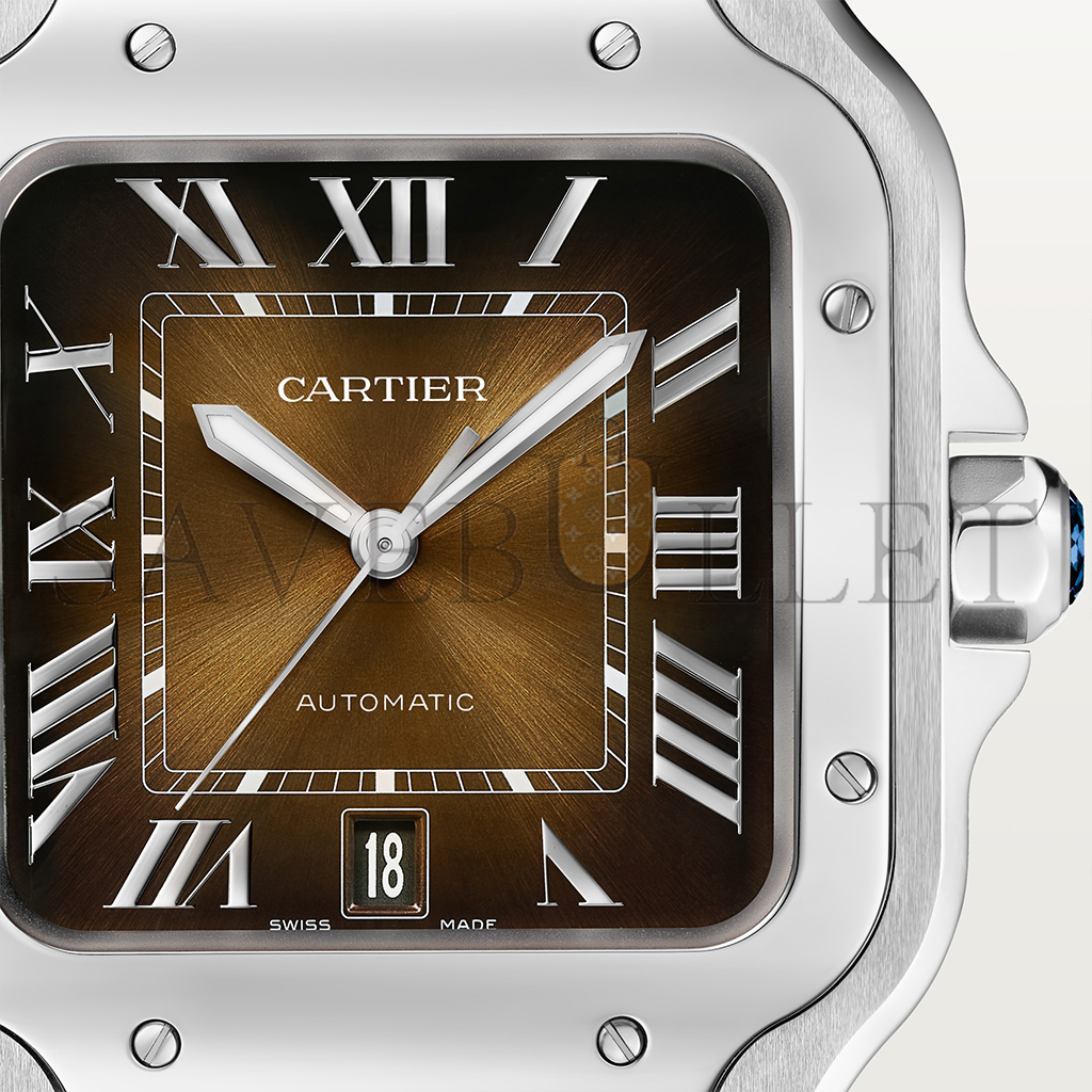 Ca*t*er santos de Ca*t*er watch wssa0064